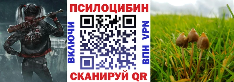 Псилоцибиновые грибы мухоморы  Арамиль 